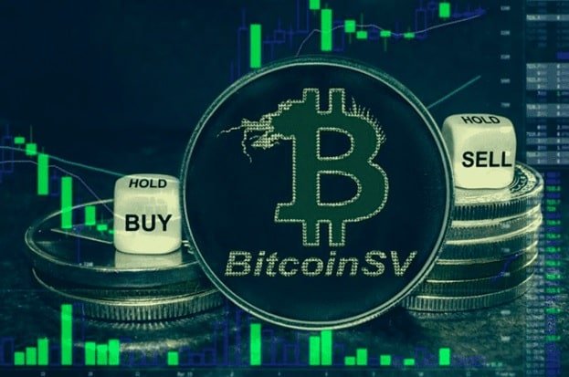 Bitcoin Satoshi Vision