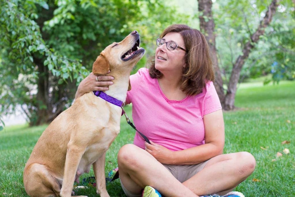Doggy Health